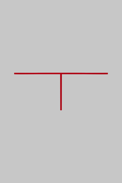 Micro Thong - Red - LES INVISIBLES